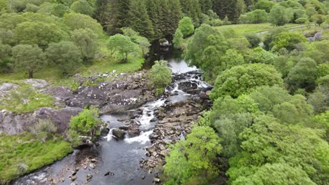 An-aerial-footage-following-black-river-stream-that-meanders-through-green-forest