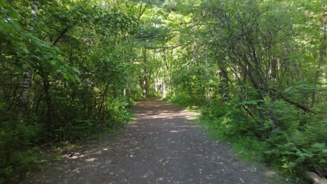 Walking-down-a-beautiful-forest-path-on-a-sunny-summer-day,-first-person-view