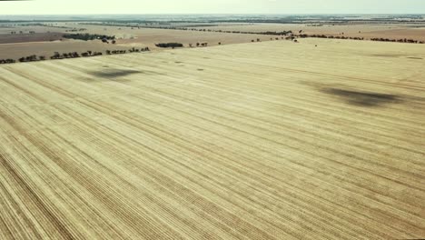 Drone-view-over-dry-paddocks-near-Nullawil,-Victoria,-Australia,-May-2021