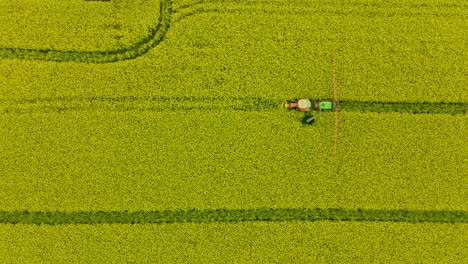 Agricultural-Sprayer-Stopped-Working-in-a-Yellow-Rapeseed-Field-Farmer-Goes-Out-From-Tractor-to-Check-Equipment-and-spray-booms,-sliding-shot-top-down-view