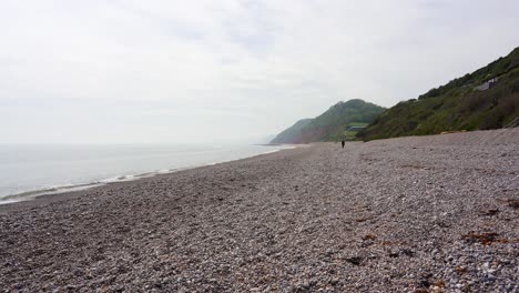 Distant-walker-strolls-along-the-quiet-pebble-beach-at-Branscombe-in-Devon-on-a-hazy-day