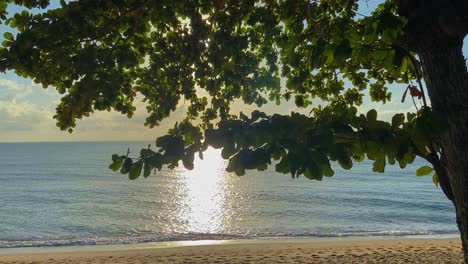Smooth-slider-shot-of-idyllic-and-relaxing-tropical-shoreline-at-sunrise,-with-gently-lapping-waves-under-a-blue-and-gold-sky-and-with-the-sun-glinting-through-the-foliage-of-a-tree