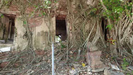Kameraschwenk:-Blick-In-Das-Fenster-Des-Antiken-Tempels-Wat-Bang-Kung-In-Thailand,-Um-Das-Herum-Wurzeln-Wachsen