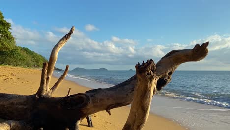 An-old-washed-up-tree-trunk-sits-in-the-foreground-on-this-tranquil-beach-shot,-with-gentle-lapping-waves-and-islands-on-the-horizon,-in-tropical-north-Queensland