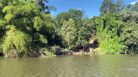 Gliding-along-the-green-waters-of-an-Amazon-like-River,-with-its-dense-jungle-shrouded-banks-with-their-tangles-of-creepers-and-rich-green-and-lush-rain-forest-with-a-glimpse-of-an-old-colonial-house