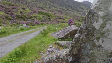 Rugged-and-rural-Irish-landscape,-closeup-and-movement