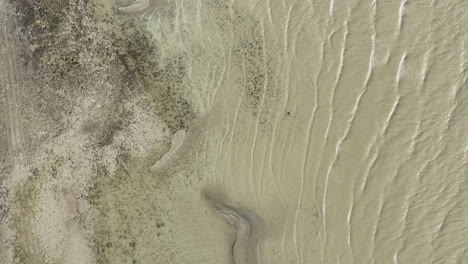 Drone-shot,-zoom-in-of-lake-shoreline-and-small-waves,-murky-water