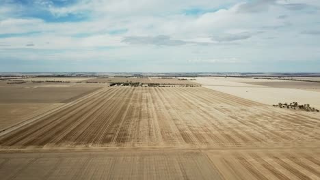 Drone-footage-over-dry-paddocks-after-harvest-near-Wedderburn,-Victoria,-Australia,-May-2021