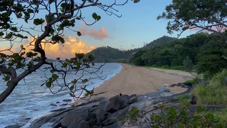 Beautiful-slider-shot-through-the-trees-along-a-tranquil-North-Queensland-tropical-beach-at-sunset