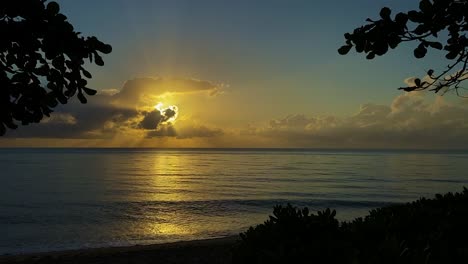 Beautifully-framed-by-silhouetted-tree-branches,-this-is-a-stunning-ocean-sunrise-on-a-tropical-beach-captures-the-sun's-golden-rays-and-rim-lit-couds