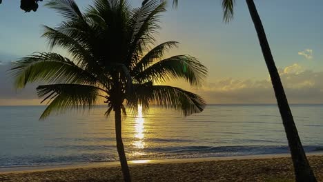 Idyllic-and-relaxing-tropical-beach-at-sunrise-sunset,-with-gently-lapping-waves-under-a-blue-and-gold-sky-with-iconic-palm-trees-in-silhouette-in-the-foreground