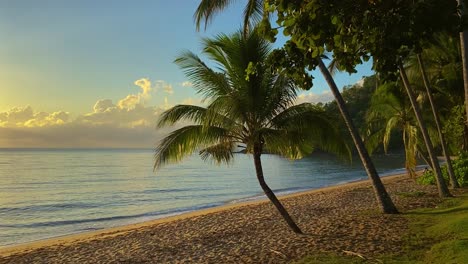 Deserted-and-peaceful-tropical-beach-at-sunrise-sunset,-with-gently-lapping-waves-under-a-blue-and-gold-tinged-sky-with-palm-fringed-shoreline-in-the-tropical-rainforests-of-north-Queensland