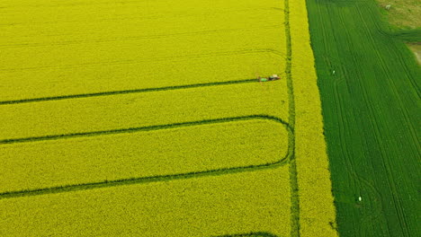 Aerial-Farmer-on-tractor-spraying-pesticides-over-yellow-canola-field