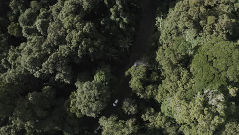 4k-Drone-shot-orbiting-three-white-cars-driving-on-a-dirt-road-in-a-green-dense-forest-in-Australia