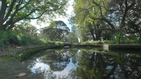 Un-Pequeño-Lago-En-Los-Jardines-Botánicos-De-Sydney-Está-Rodeado-Por-Un-Puente
