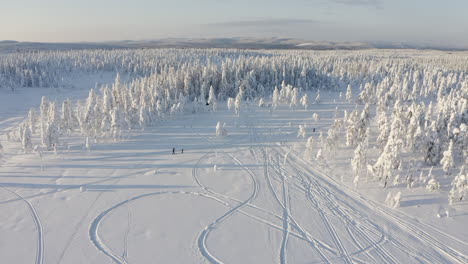 Static-drone-shot-of-a-cold-winter-forest-in-Branäs,-Sweden