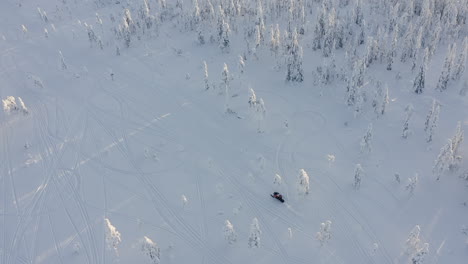 Drone-shot-of-a-snowmobile-rides-close-to-a-snowy-dense-forest-in-Branäs,-Sweden