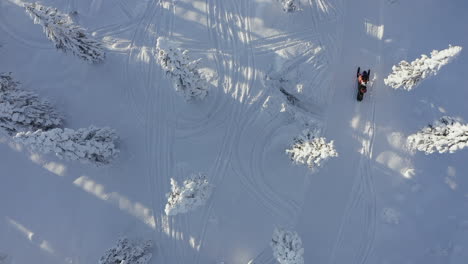 Top-view-drone-shot-of-snowmobile-ride-on-track-path-through-winter-forest-in-Branäs,-Sweden