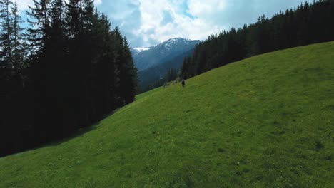 Aerial-drone-flight-at-scenic-Zillertal-with-a-person,-a-young-woman-hiking-and-trekking-in-nature-in-a-vacation-mountain-valley-the-Austrian-Bavarian-alps-on-a-sunny-lush-summer-day-at-a-green-field
