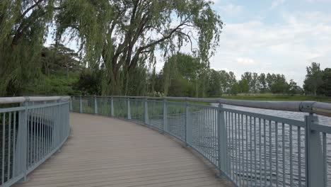 Crossing-a-bridge-on-a-cloudy-day-with-a-willow-tree