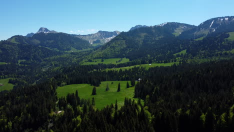 Bosque-Verde-En-Los-Alpes-Suizos-Cerca-De-Montreux,-Vaud,-Suiza