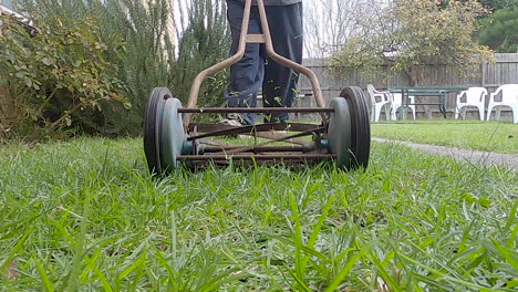 Old-push-antique-lawnmower-cutting-the-grass-next-to-a-rosemary-bush-in-slow-motion