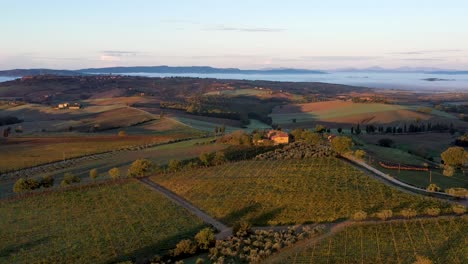 Drone-footage-of-nature-landscape-beautiful-hills-forests-fields-and-vineyards-of-Tuscany,-Italy-during-sunrise