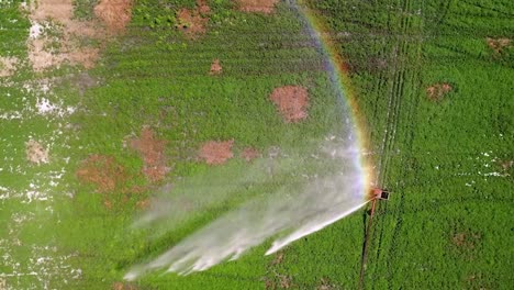 Top-View-Of-Watering-The-Farm-Field-Using-A-Irrigation-Wheel-Sprinkler