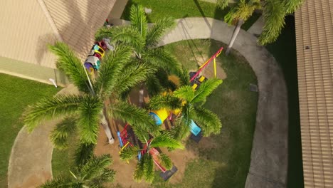 Playground-and-Palm-Trees