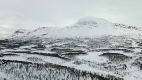 Snowy-Mountain-And-Barren-Forest-Trees-In-Narvik,-Norway-During-Winter