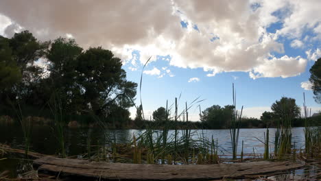 Low,-wide-angle-time-lapse-of-a-lake-with-a-cloudscape-overhead-and-wind-blowing-the-water-and-plants