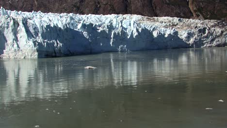 Small-chunks-of-ice-floating-around-Margerie-Glacier,-Alaska