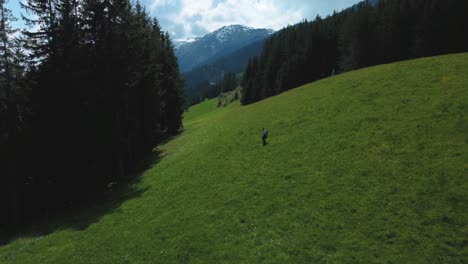 Aerial-drone-flight-at-scenic-Zillertal-with-a-young-woman-hiking-and-trekking-in-nature-in-a-vacation-mountain-valley-the-Austrian-Bavarian-alps-on-a-sunny-lush-summer-day-at-a-green-field-with-trees