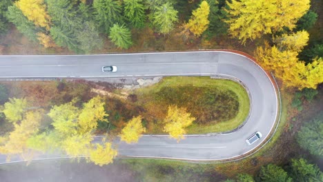 Aerial-drone-view-of-U-Turn-Road-Curve-in-Autumn-Fall-forest-with-cars-travelling-around-the-bend---4K-Italy