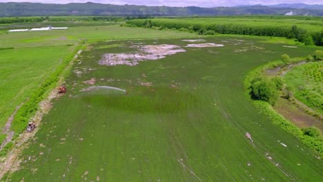 Aerial-View-Of-Sprinkler-Watering-Mint-Crops-At-The-Field