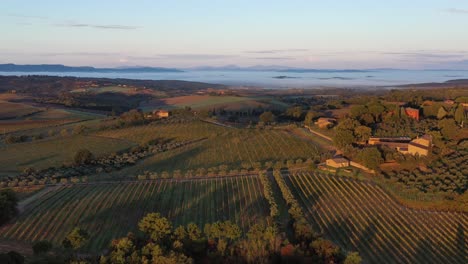 Aerial-footage-of-nature-landscape-beautiful-hills-forests-fields-and-vineyards-of-Tuscany,-Italy-during-sunrise