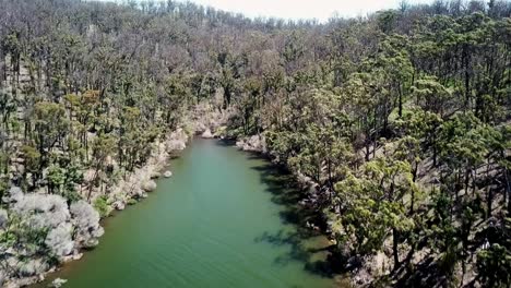 Rising-drone-footage-of-forest-along-the-Mallacoota-Inlet,-in-eastern-Victoria,-Australia,-December-2020,-a-year-after-wildfires-affected-the-region