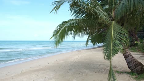 4K-Beautiful-Scenic-Beach-View-with-Palm-Tree-on-a-Summers-Vacation-in-Koh-Chang,-Thailand