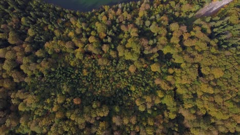 Aerial-view-of-dense-forest-and-a-lake