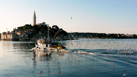 Fishing-Boat-Sailing-Back-To-The-Port-In-Rovinj,-Croatia-With-Flock-Of-Seagulls-Flying-On-A-Sunrise