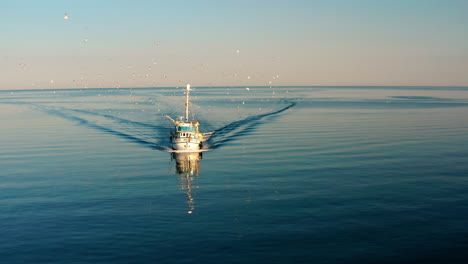 Flock-Of-Flying-Sea-Gulls-On-Sailing-Fishing-Boat-At-The-Adriatic-Sea-Near-Rovinj-Port-In-Istria,-Croatia-During-Sunrise