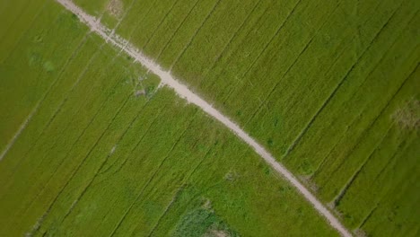 Vista-Aérea-De-Drones-De-Tiro-Rodante-Sobre-El-Camino-En-Medio-De-Los-Campos-De-Hierba