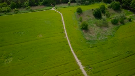 Aerial-drone-view-of-the-beautiful-pathway-in-the-middle-of-the-grass-fields-in-the-Netherlands