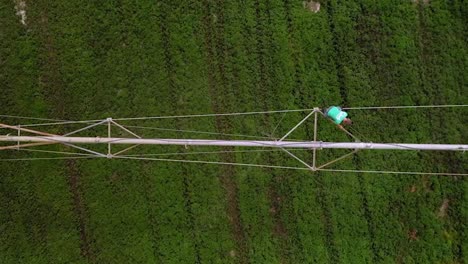 Farm-Field-Irrigated-By-A-Pivot-Sprinkler-System---aerial-top-down