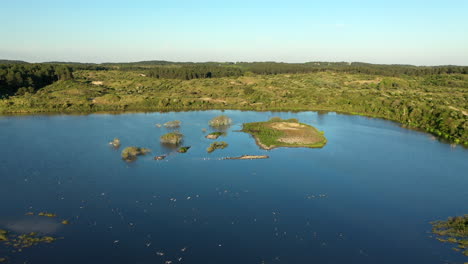 Luftaufnahme-Des-Vogelmeeres-Mit-Vorbeiziehenden-Vögeln-Unter-Einem-Wunderschönen-Sonnenuntergang-Im-Nationalpark-Kennemerland,-Niederlande