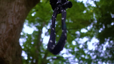 Blue-Knotted-Rope-Hang-On-Tree-Branch-Against-Bokeh-Foliage