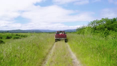 Red-Pick-Up-Truck-Driving-On-Grassy-Landscape-With-Dogs-On-Board-During-Daytime