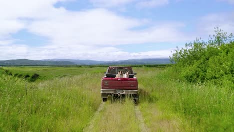 Paisaje-De-Un-Camión-Rojo-Que-Viaja-En-El-Campo-Verde-En-Oregon,-Estados-Unidos