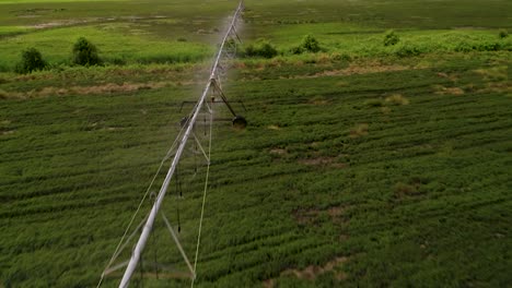 Pivot-Irrigation-Used-To-Water-Plants-On-A-Farm---aerial-drone-shot