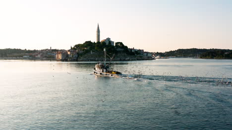 Fliegende-Möwen-Hinter-Dem-Kreuzfahrtfischerboot,-Das-Bei-Sonnenaufgang-Auf-Den-Stadthafen-Von-Rovinj-In-Istrien,-Kroatien,-Zusteuert